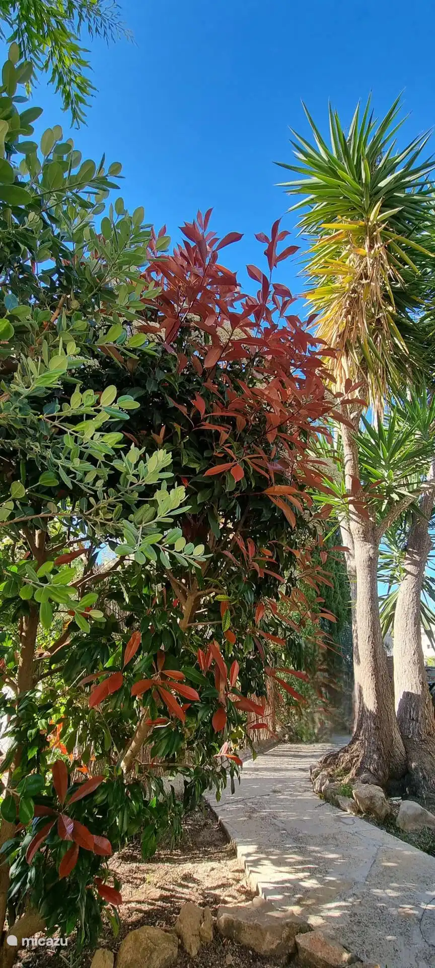 Mediterrane Gärten umgeben das Anwesen wunderschön und verleihen ihm einen Hauch von natürlicher Eleganz und Ruhe.