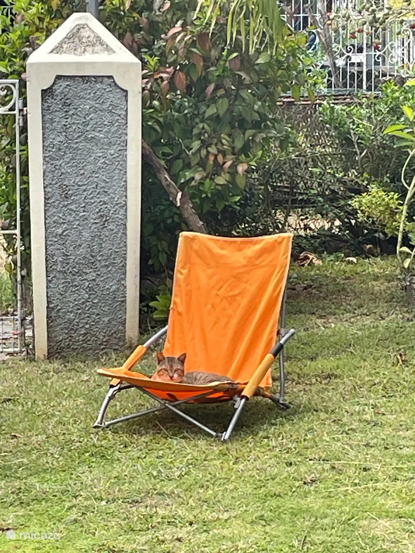 Ein unerwarteter Gast