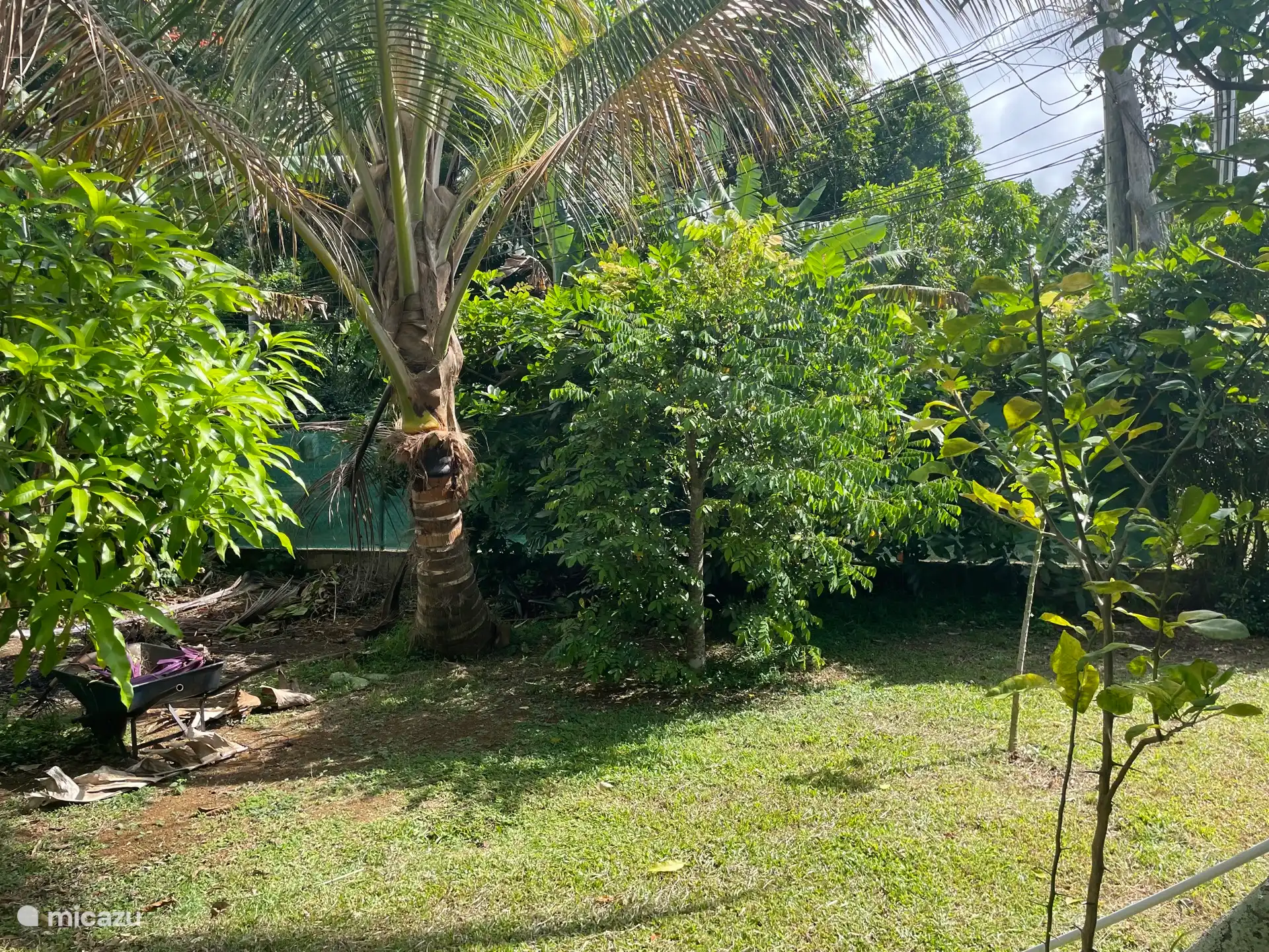 Ein Stück Vorgarten