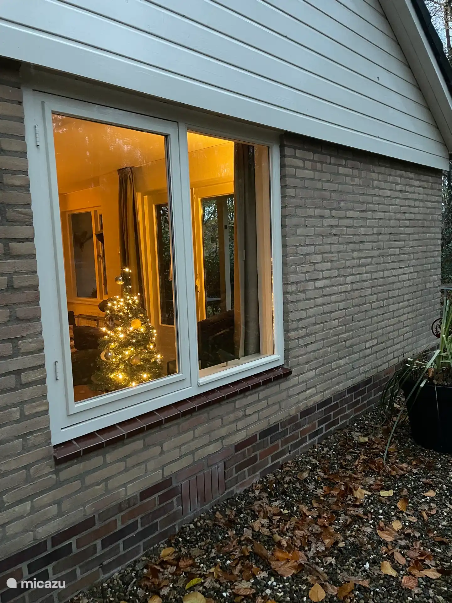 Partybeleuchtung, Waldhaus C20