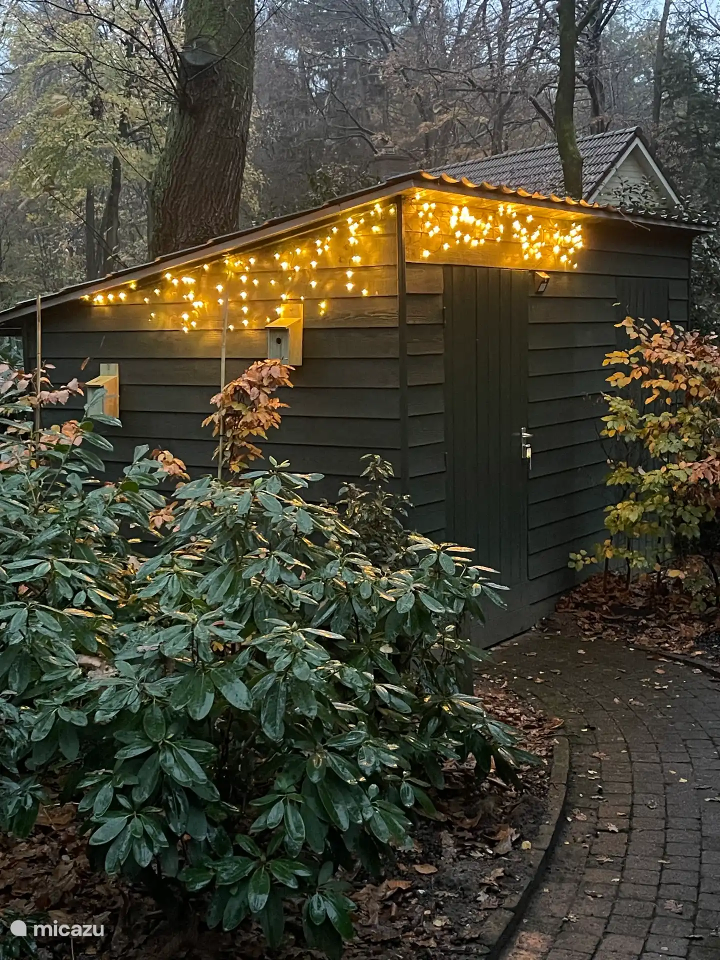 Outdoor-Partylichter