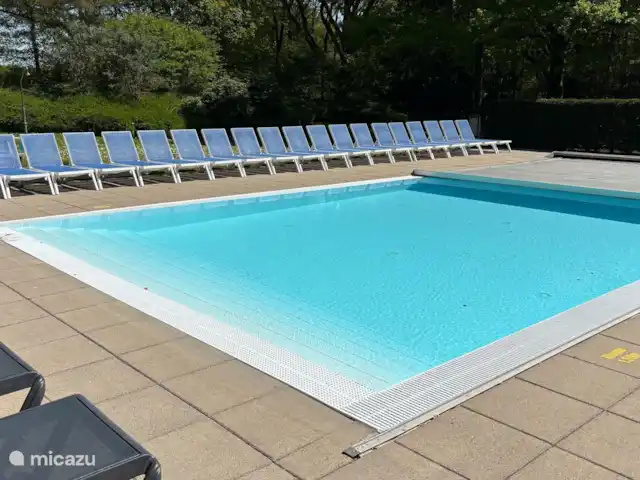 Boshuisje C20 Garderen - La Veluwe | Pays-Bas, Gueldre, Garderen - maison mitoyenne Piscine à l’hôtel