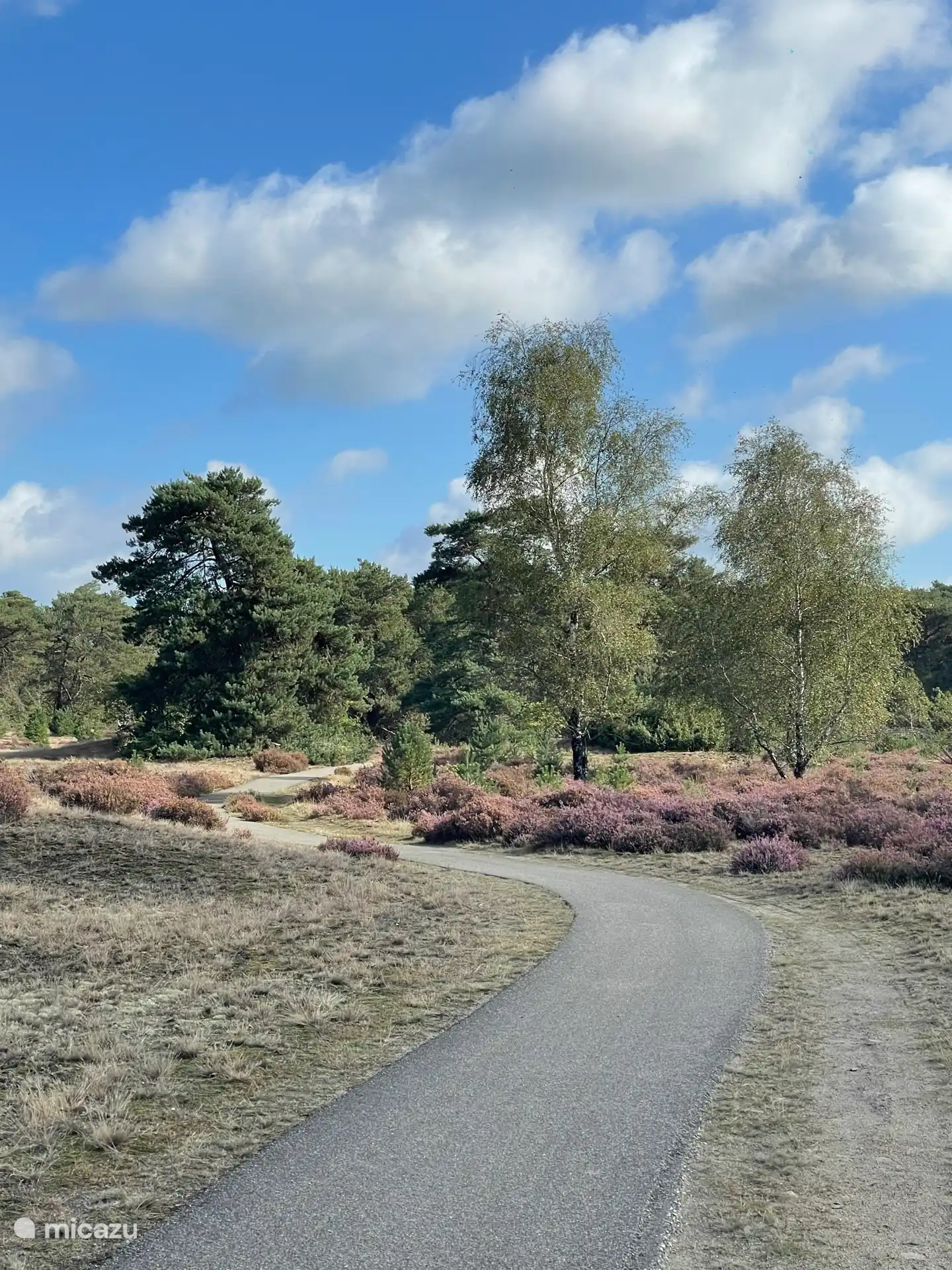 Die schöne Veluweheide