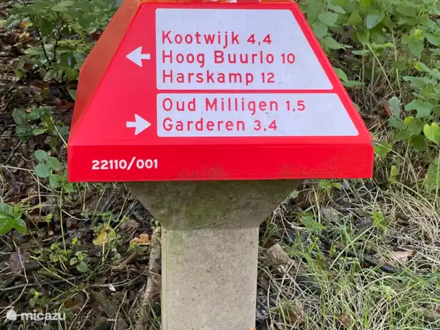 Boshuisje C20 Garderen - La Veluwe | Pays-Bas, Gueldre, Garderen - maison mitoyenne De belles pistes cyclables