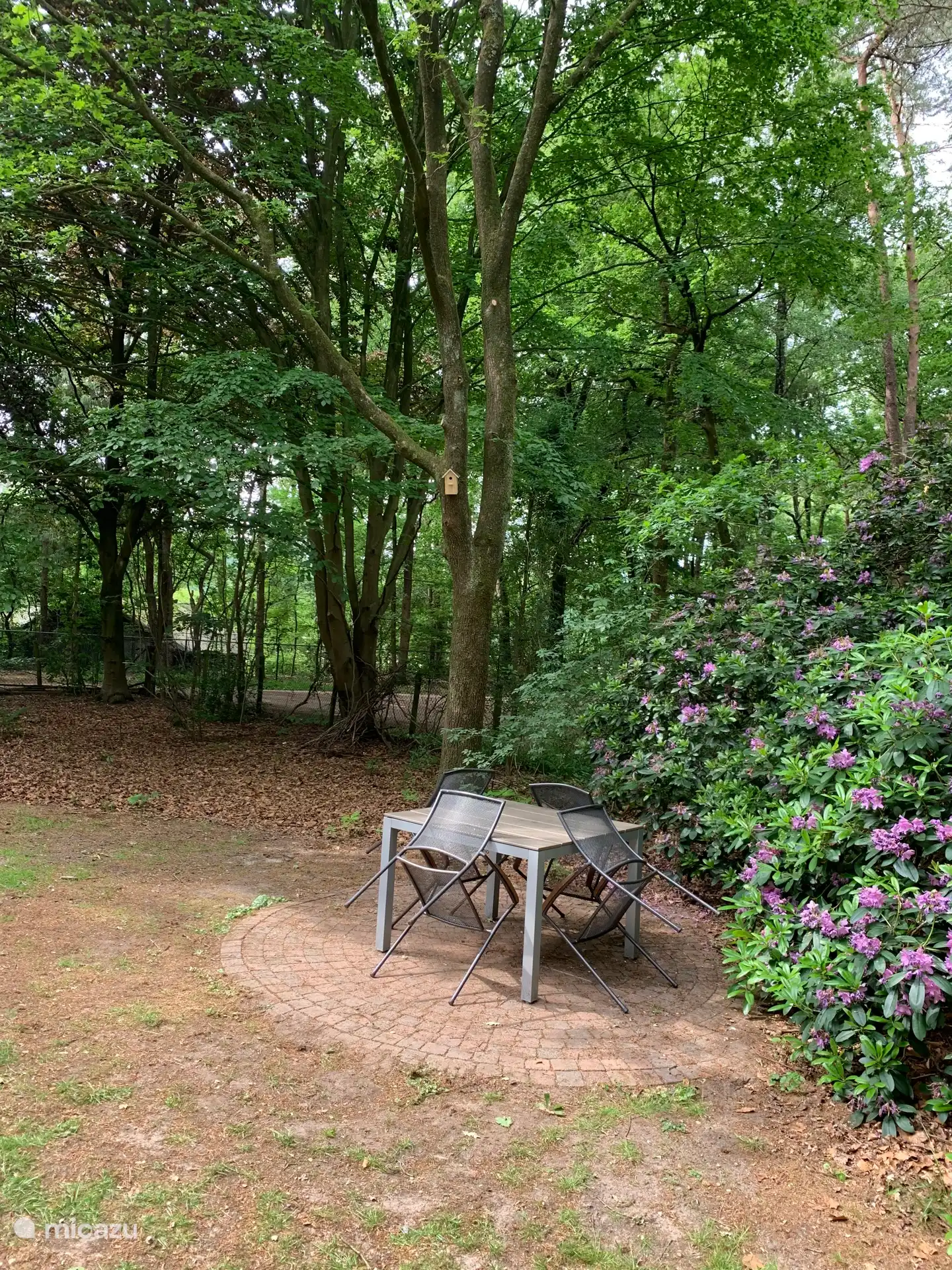 Hintergarten mit Terrasse