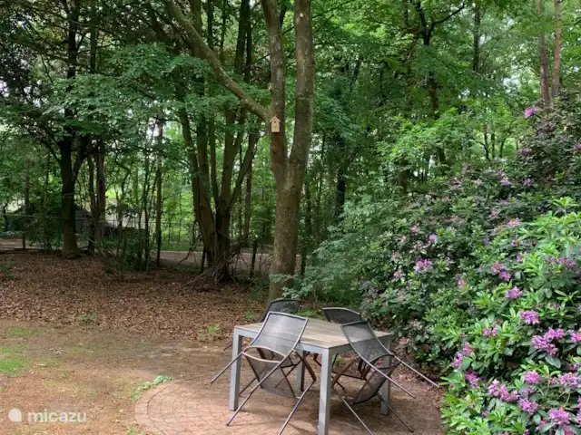 Boshuisje C20 Garderen - La Veluwe | Pays-Bas, Gueldre, Garderen - maison mitoyenne Jardin arrière avec terrasse