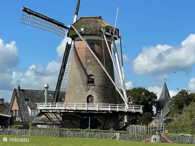 Boshuisje C20 Garderen - La Veluwe | Pays-Bas, Gueldre, Garderen - maison mitoyenne Le moulin de Garderen