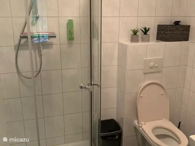 Boshuisje C20 Garderen - La Veluwe | Pays-Bas, Gueldre, Garderen - maison mitoyenne Salle de Bains