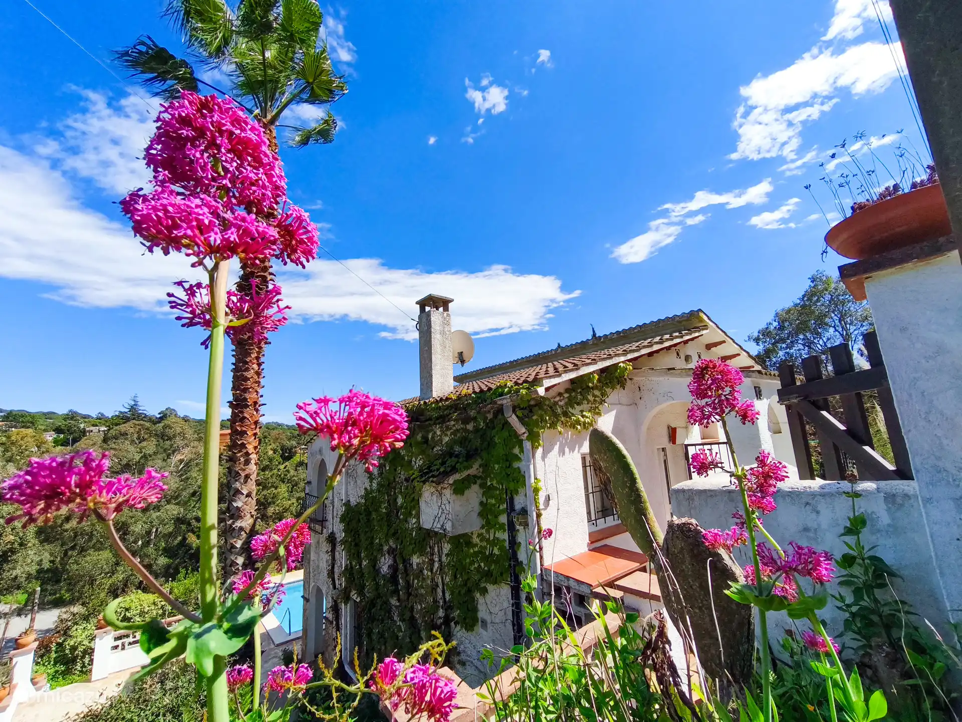 Voorzijde Villa marie