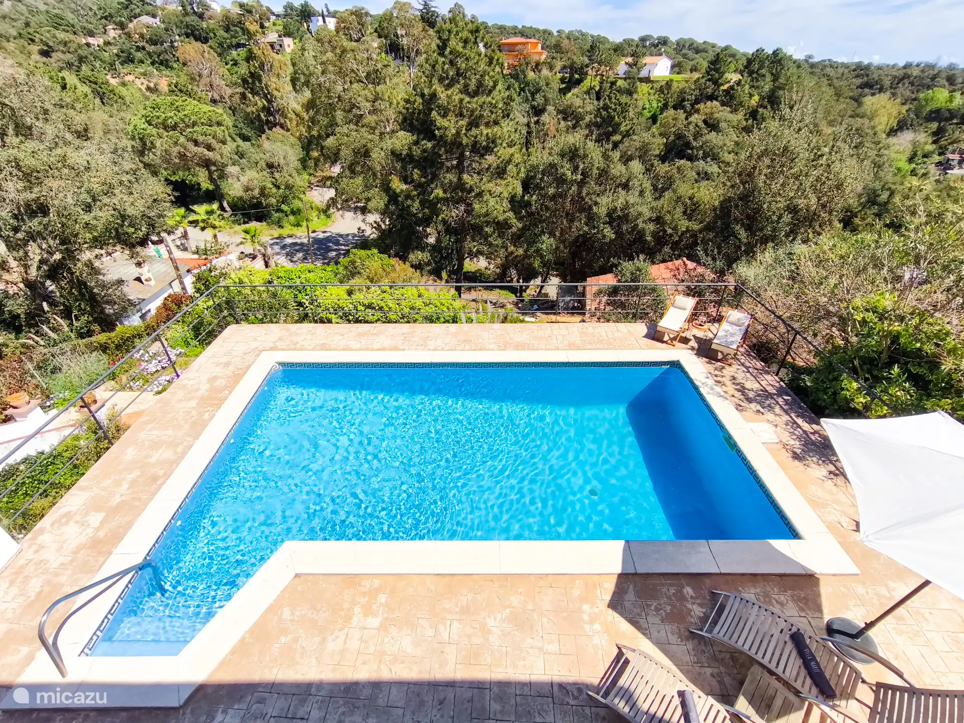 Prachtig groot zwembad met privacy!