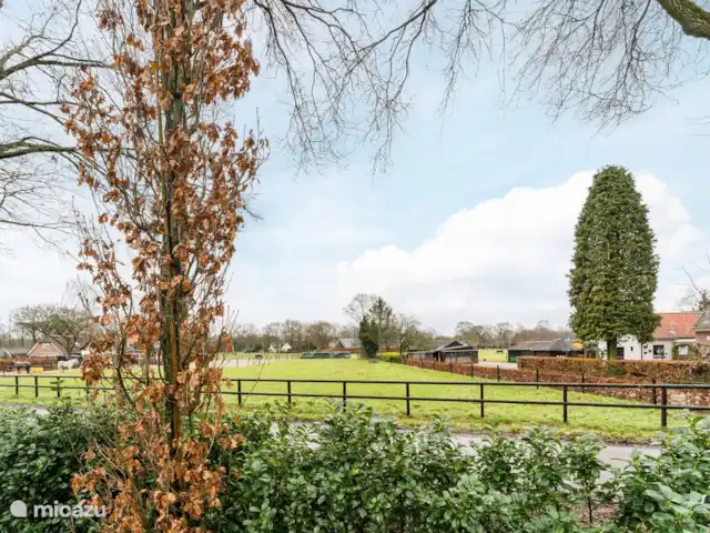 Relax Chalet Veluwe en Países Bajos, Güeldres, Putten - chalet Relax Chalet Veluwe en Países Bajos, Güeldres, Putten - chalet