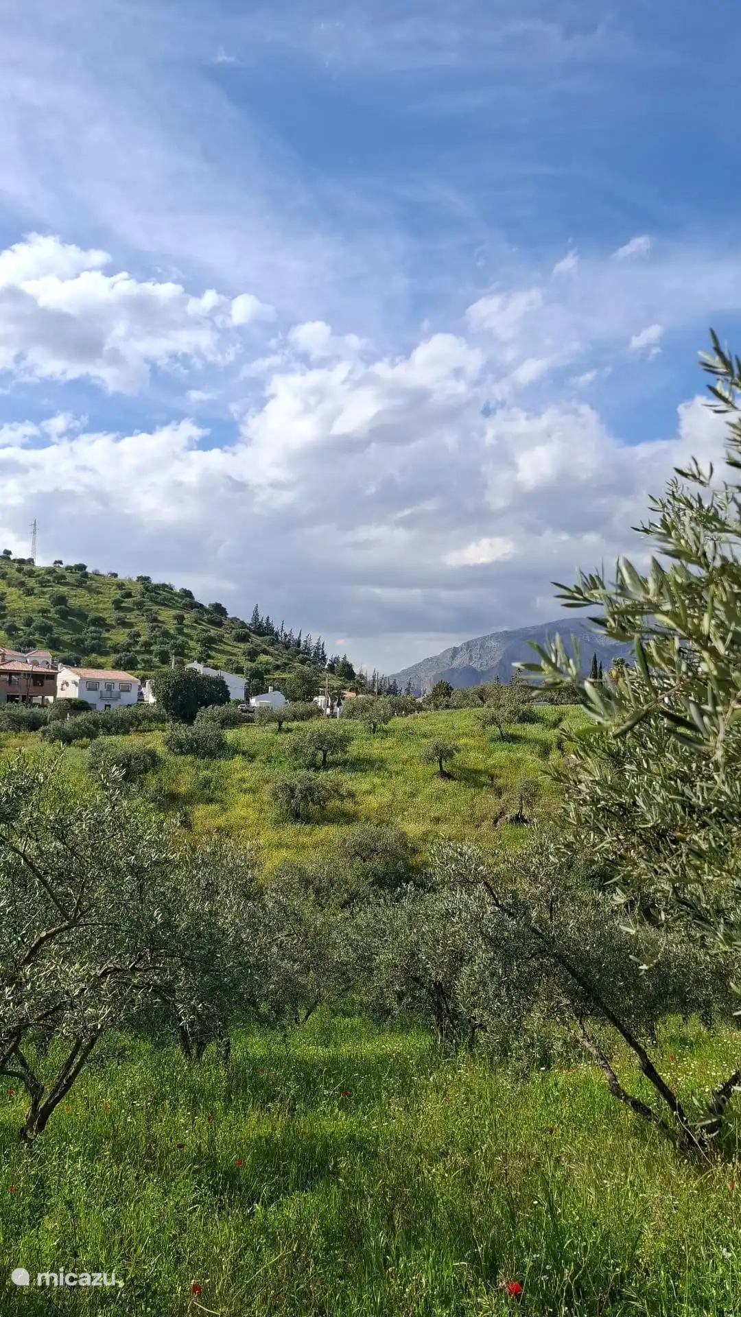 Uitzicht vanaf het terras