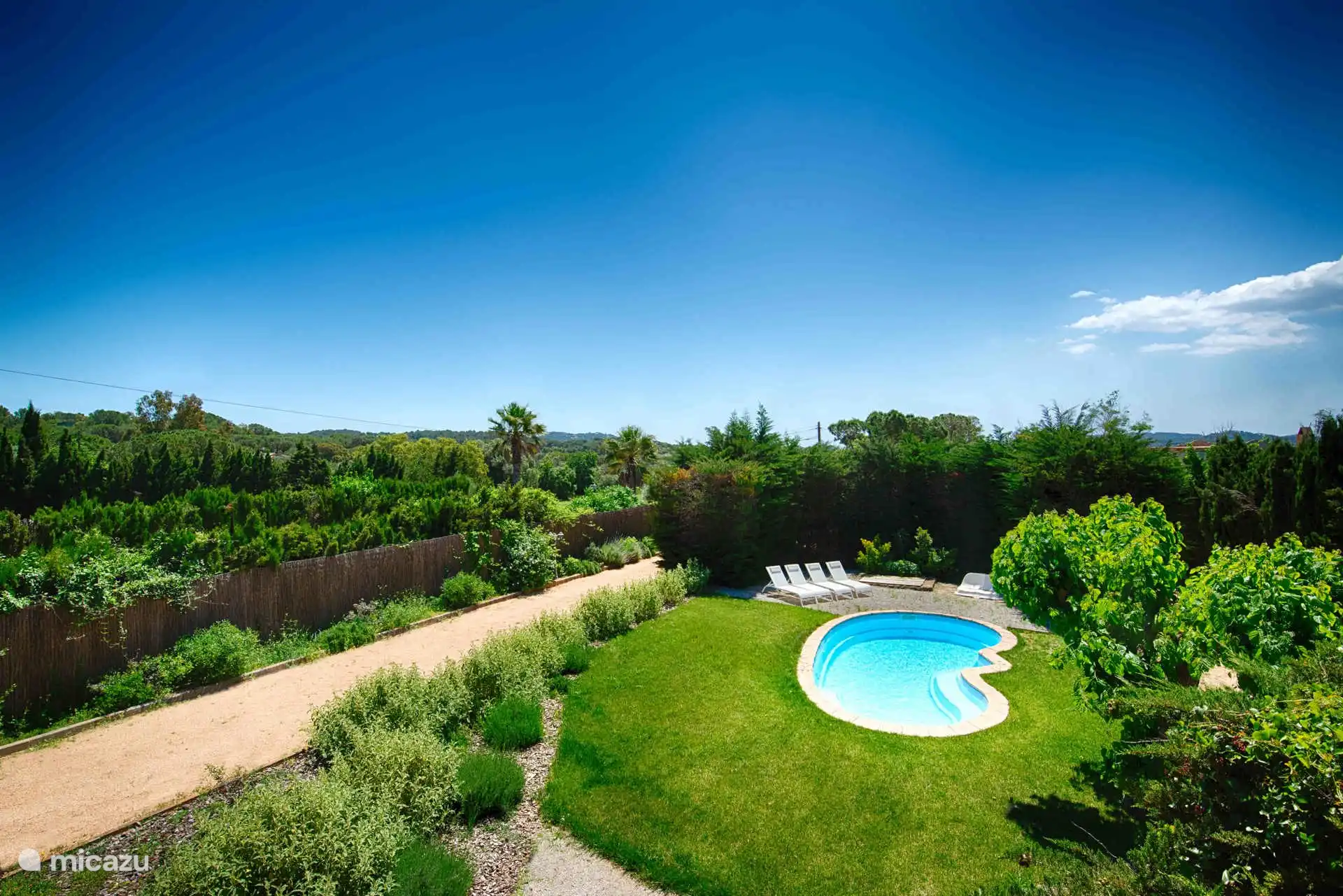 Die grüne Einstellung