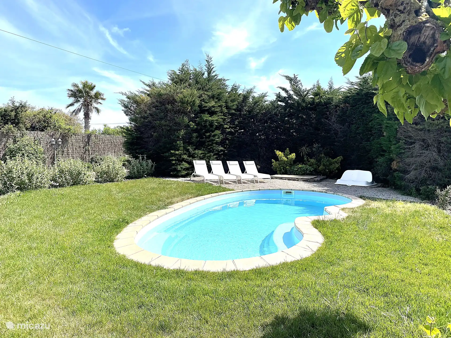 Garten mit Liegestühlen