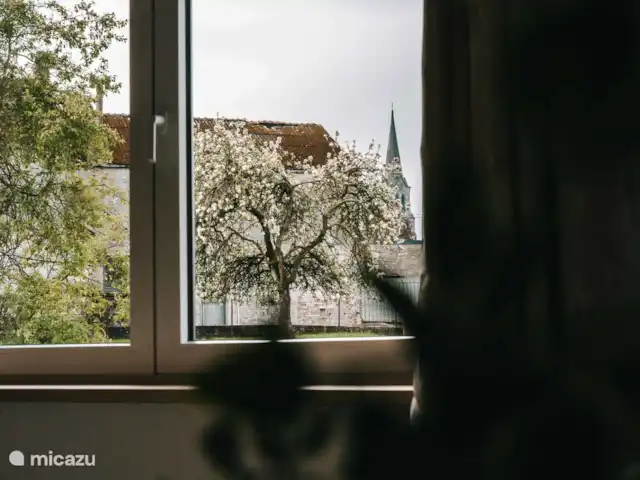 Escapada a los Lagos  en Bélgica, Ardenas, Cerfontaine - villa