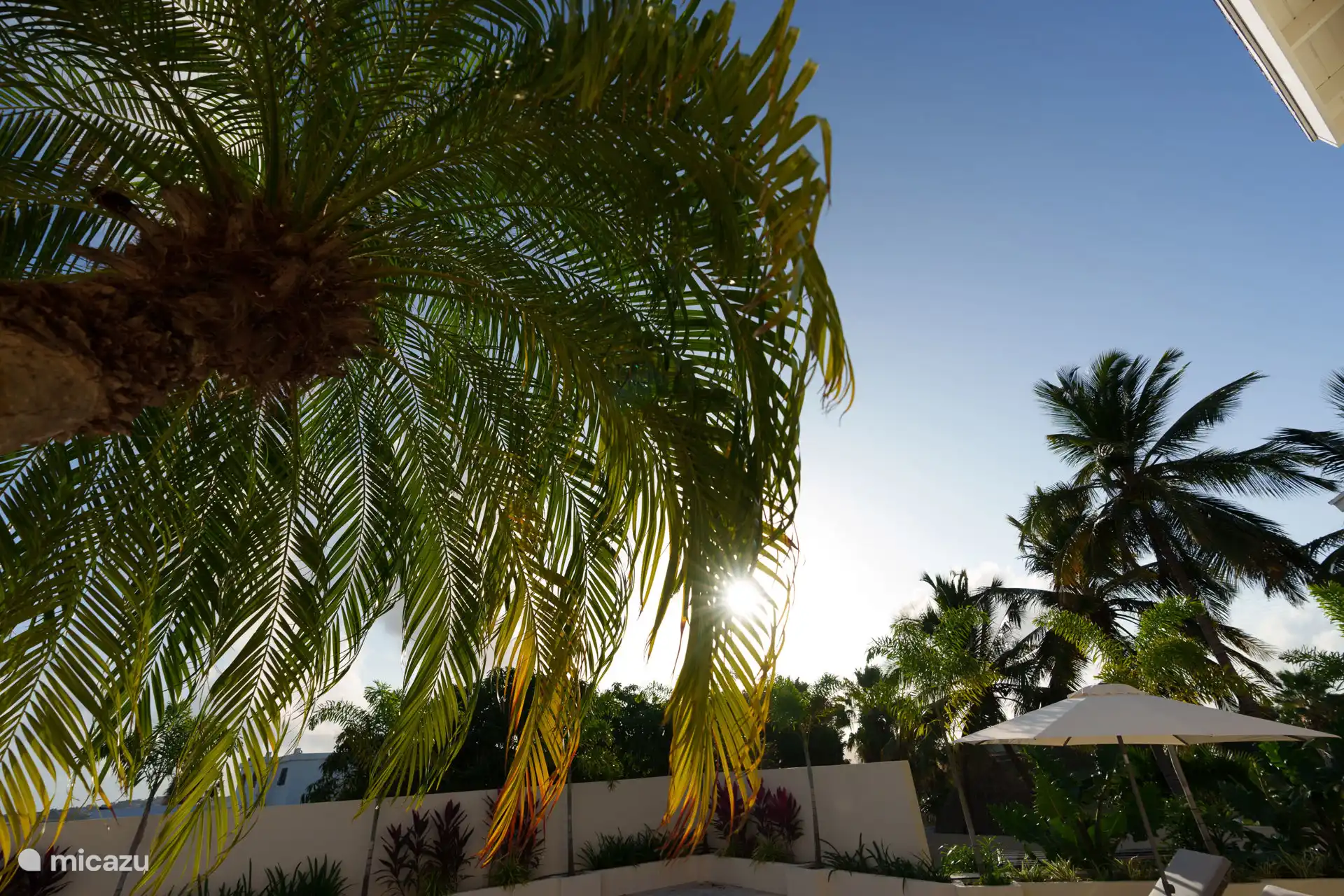 Tropischer Garten mit Swimmingpool, großer Terrasse und Außenküche und Essbereich. Entspannen Sie sich bei einem kalten Getränk auf einer Liege, einem erfrischenden Sprung in den Pool und einem leckeren Essen auf dem Grill.