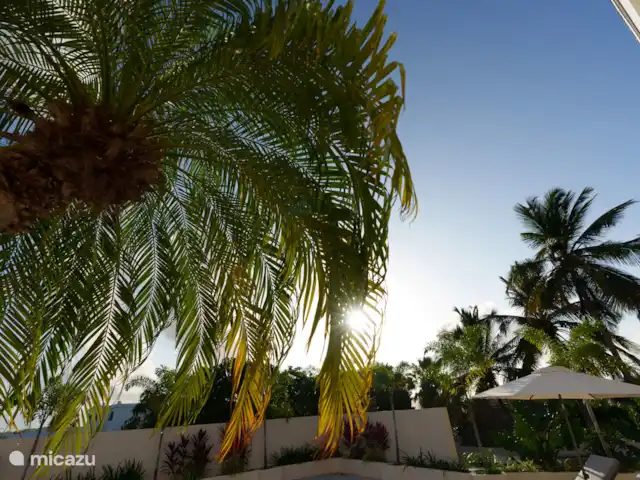 Villa Seru Jan Thiel | Curaçao, Banda Ariba (est), Jan Thiel - villa Jardin tropical avec piscine, grande terrasse et cuisine extérieure et salle à manger. Détendez-vous avec une boisson fraîche sur une chaise longue, un plongeon rafraîchissant dans la piscine et un bon repas au barbecue.