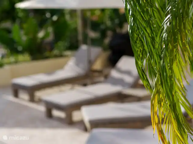 Villa Seru Jan Thiel | Curaçao, Banda Ariba (est), Jan Thiel - villa Profitez du jardin tropical verdoyant