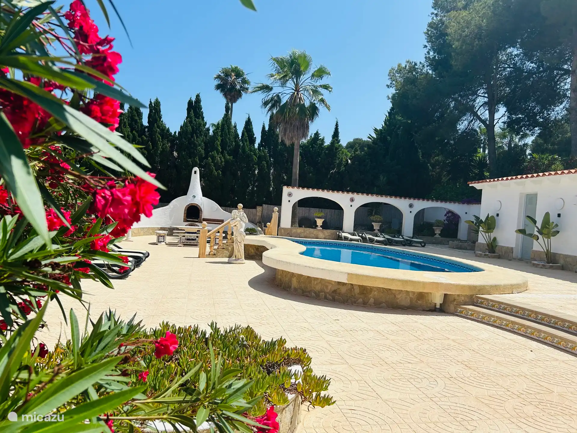 Garden with swimming pool