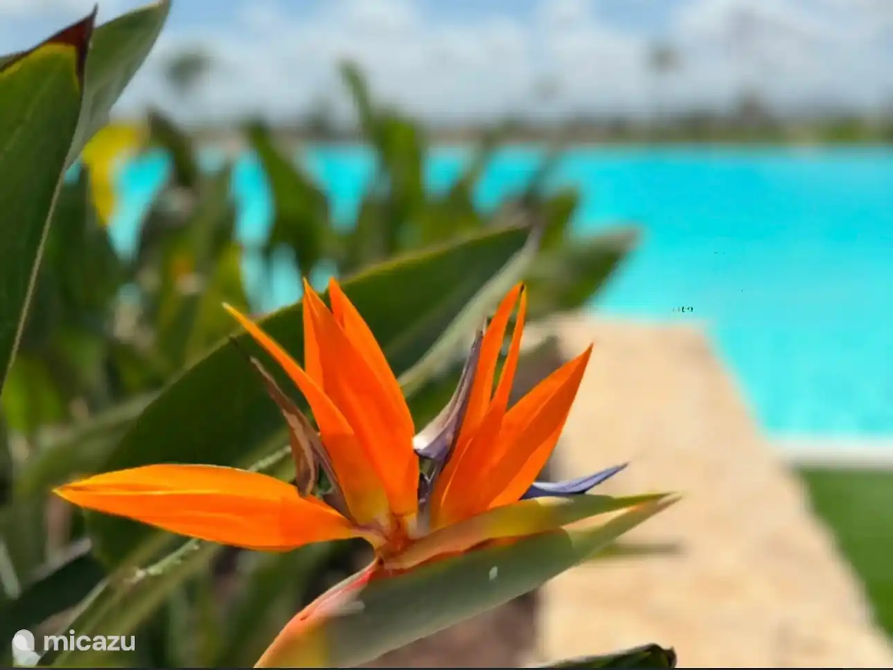 Casa Bohonito se trata de disfrutar y crear hermosos recuerdos