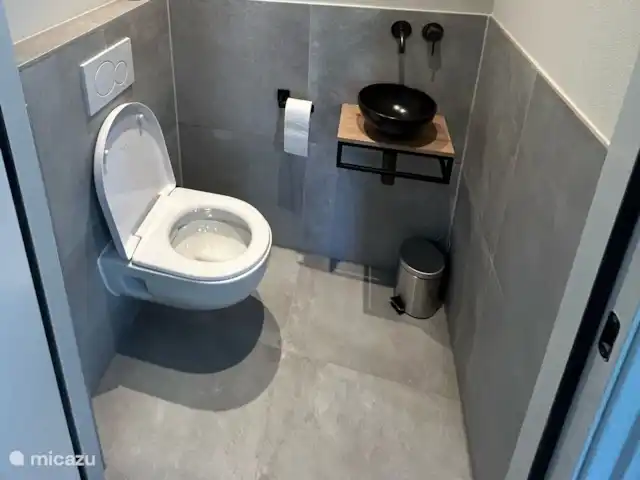 Belle maison de vacances Appelscha  | Pays-Bas, Frise, Appelscha - maison de vacances Salle de toilettes en bas.