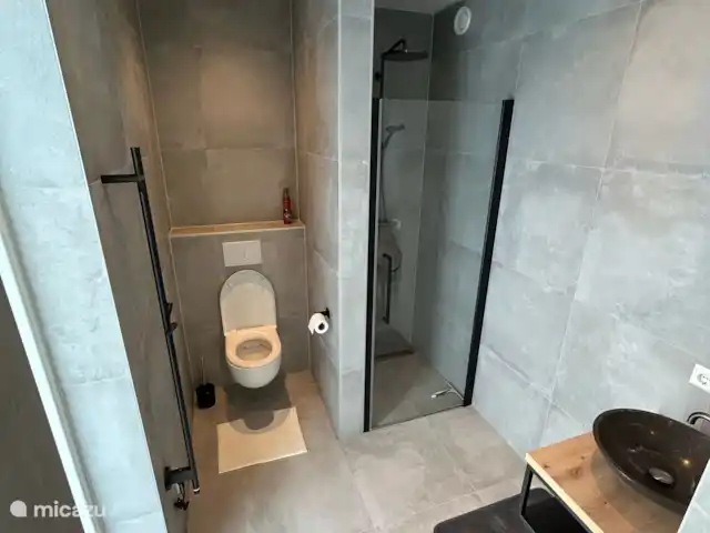 Belle maison de vacances Appelscha  | Pays-Bas, Frise, Appelscha - maison de vacances Salle de bain avec toilettes, chauffe-serviettes et douche à effet pluie, chambre avec salle de bains privative au rez-de-chaussée.