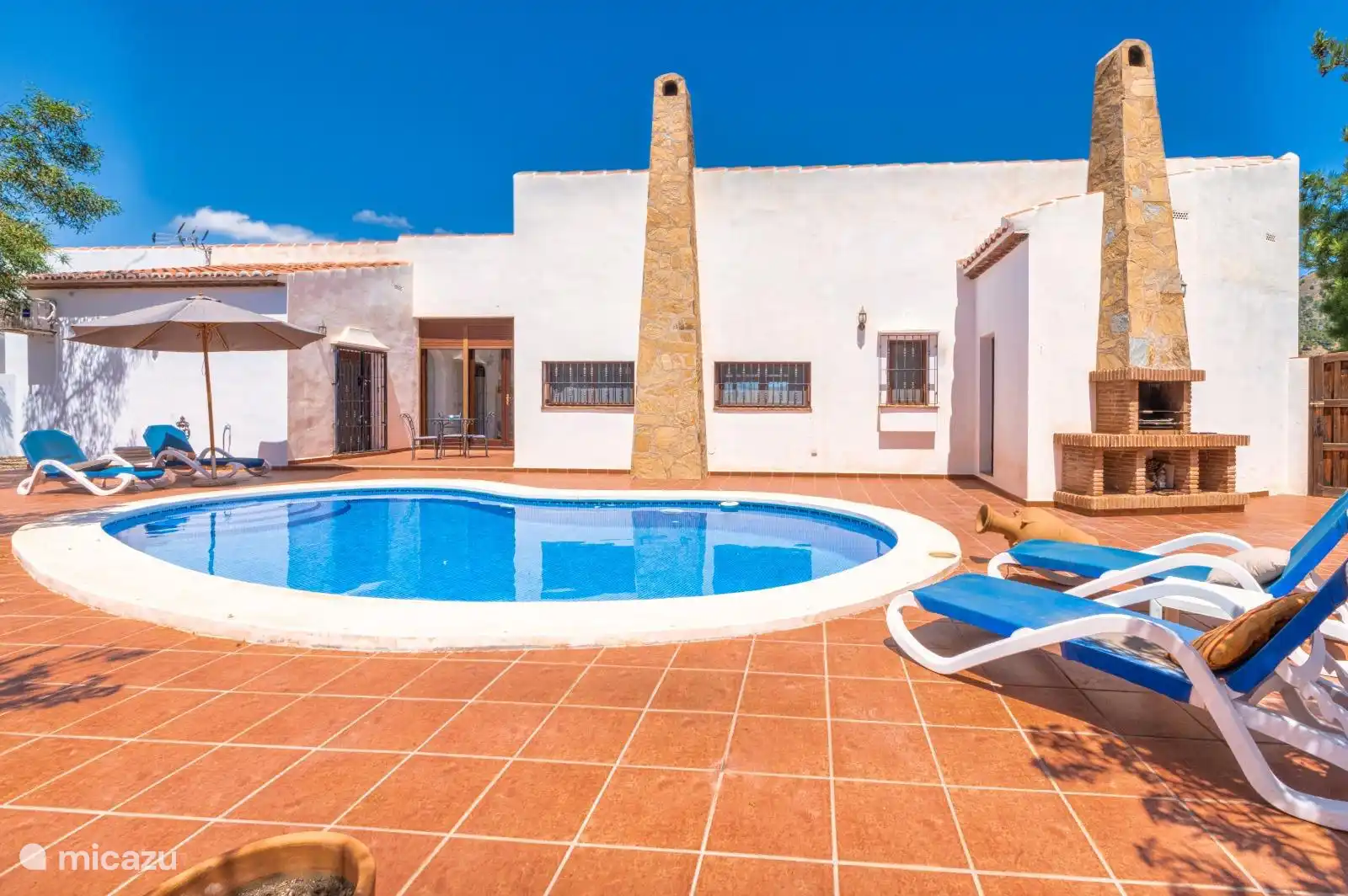 The backyard with swimming pool