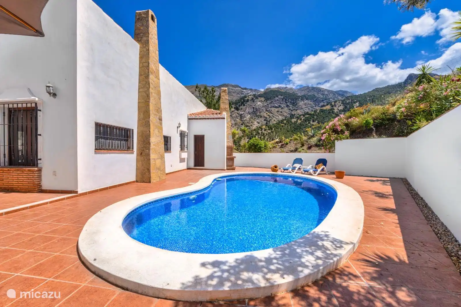 The backyard with swimming pool