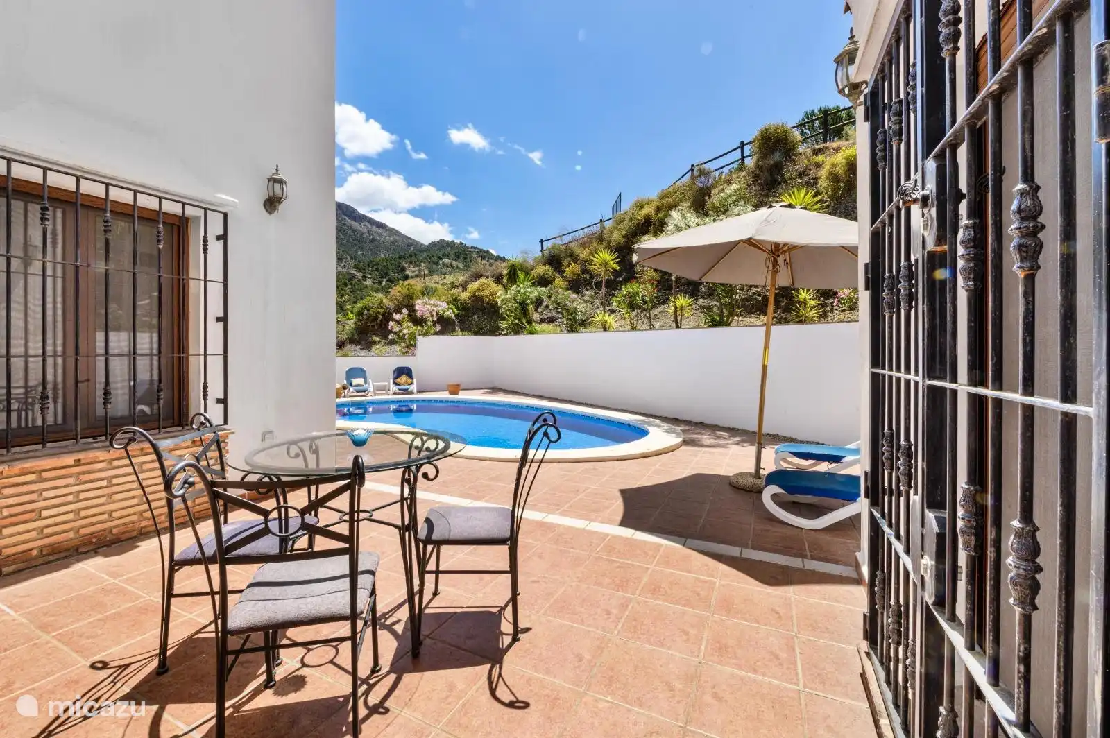 The backyard with swimming pool