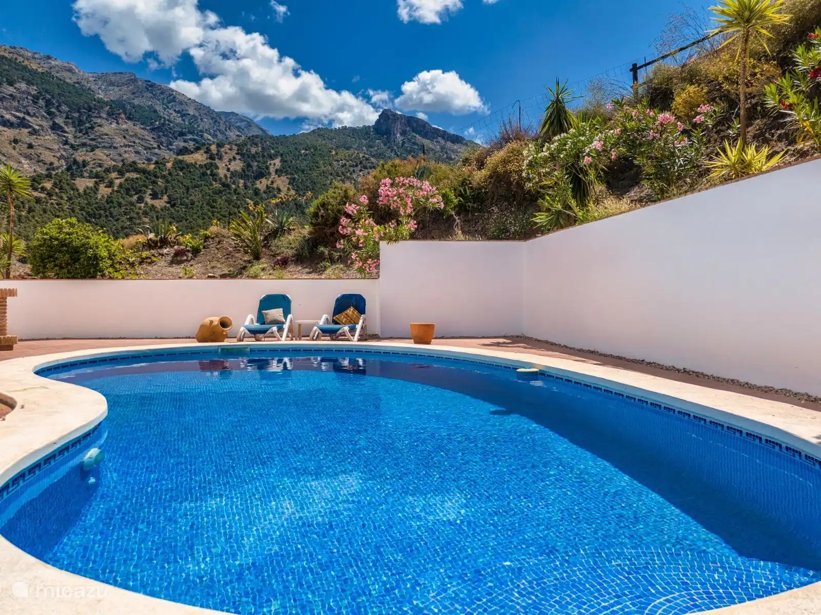 The backyard with swimming pool