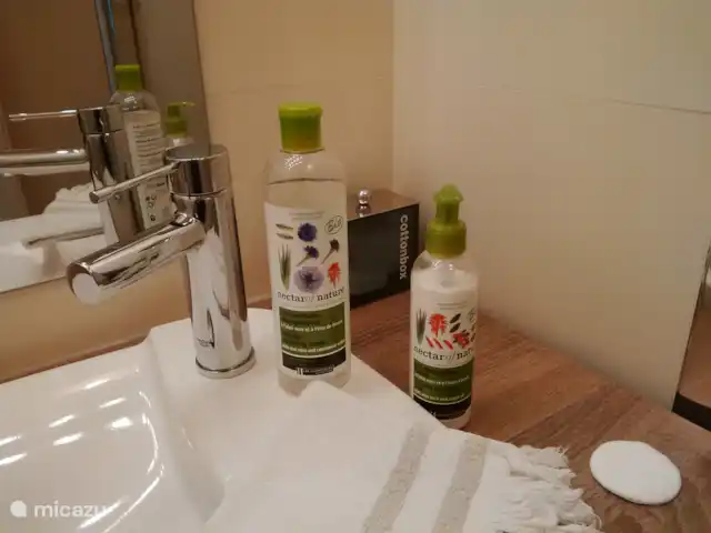 B&B La Maison Bleue, De Kus huren in Frankrijk, Gironde, Bordeaux - pension / guesthouse / privékamer Slaapkamer 1: voorzieningen doucheruimte