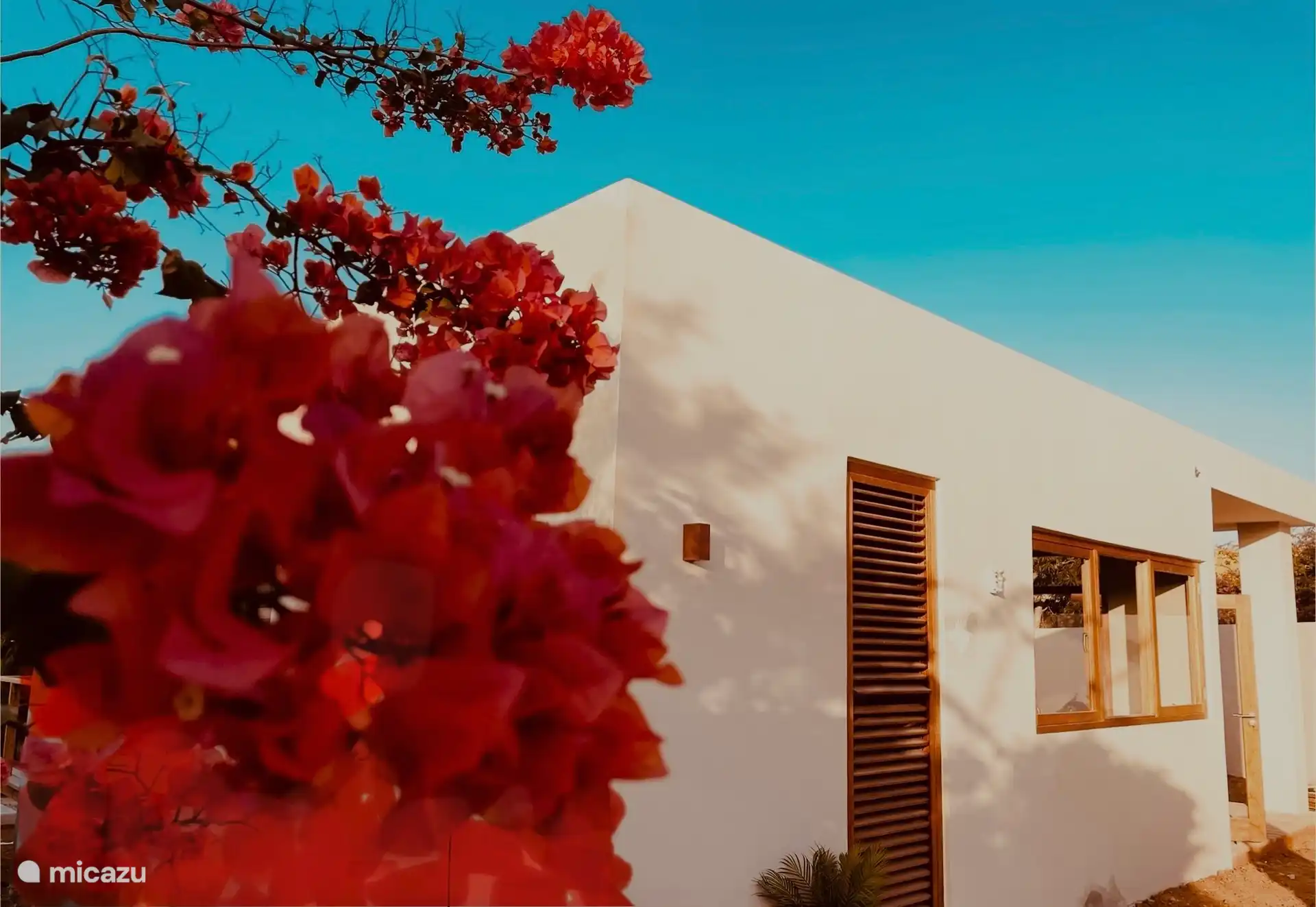 Toko Ti in Curaçao, Banda Ariba (Ost), Brakkeput Abou - Ferienhaus