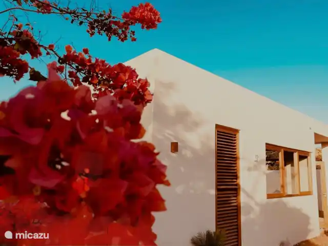 Toko Ti | Curaçao, Banda Ariba (est), Brakkeput Abou - maison de vacances Avant Toko Ti