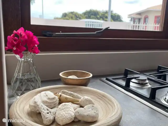 Toko Ti | Curaçao, Banda Ariba (est), Brakkeput Abou - maison de vacances Réchaud à quatre brûleurs (gaz)