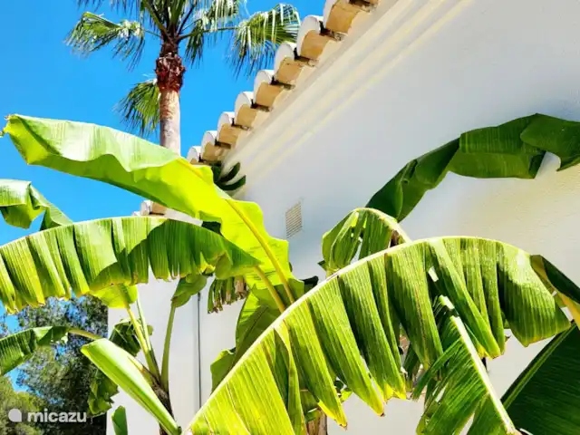 Casa Monzonea huren in Spanje, Costa Blanca, Jávea - vakantiehuis Natuur