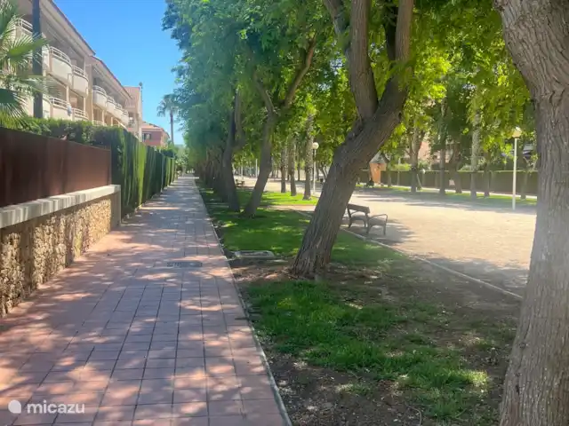 Plage dorée | Espagne, Costa Blanca, Jávea - appartement Rue