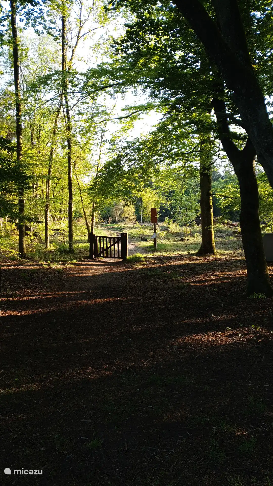 Forest entrance opposite the campsite