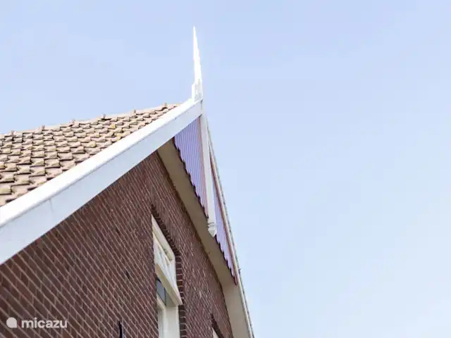 Maison de vacances 't Loo | Pays-Bas, Gueldre, Aalten - maison de vacances Ornement de toit