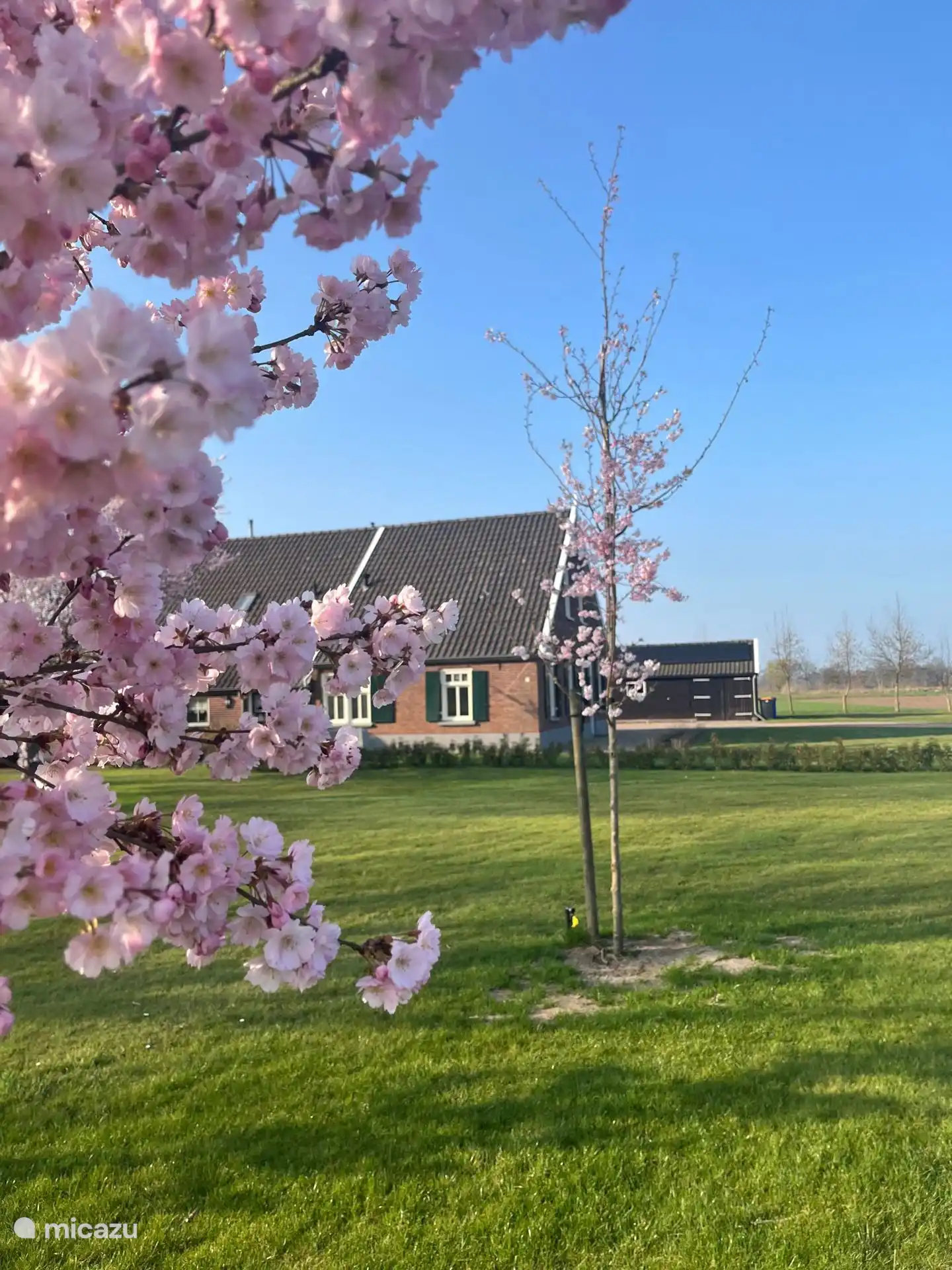 Genießen Sie die Ruhe des Achterhoek