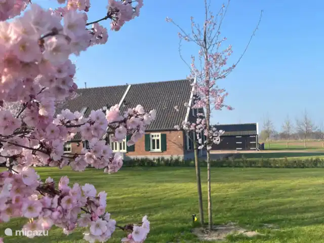Maison de vacances 't Loo | Pays-Bas, Gueldre, Aalten - maison de vacances Profitez de la tranquillité de l’Achterhoek