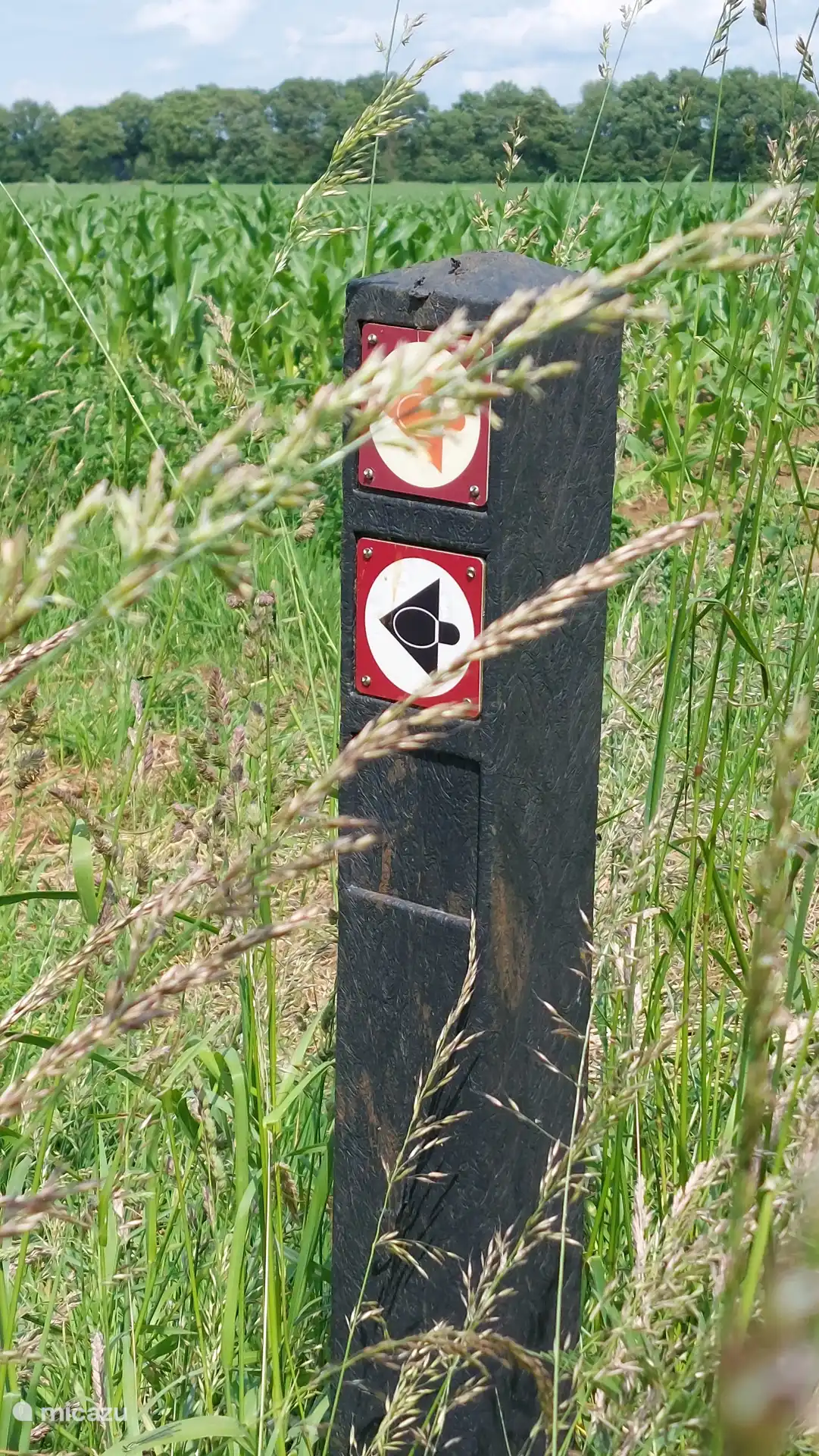 verschiedene Wander- und Radwege