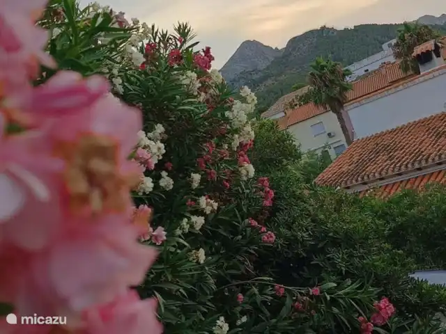Casa de Morell | Espagne, Costa Blanca, Orba - villa Atmosphère