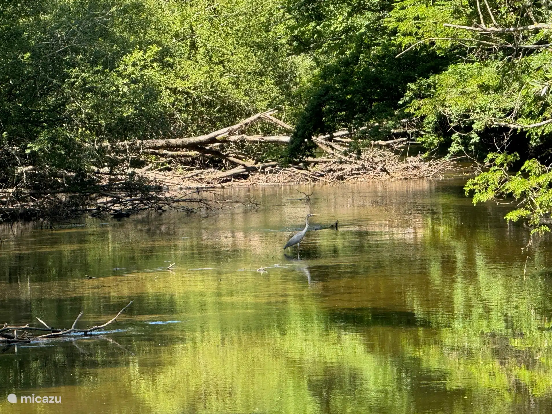Dordogne branch for quiet walks