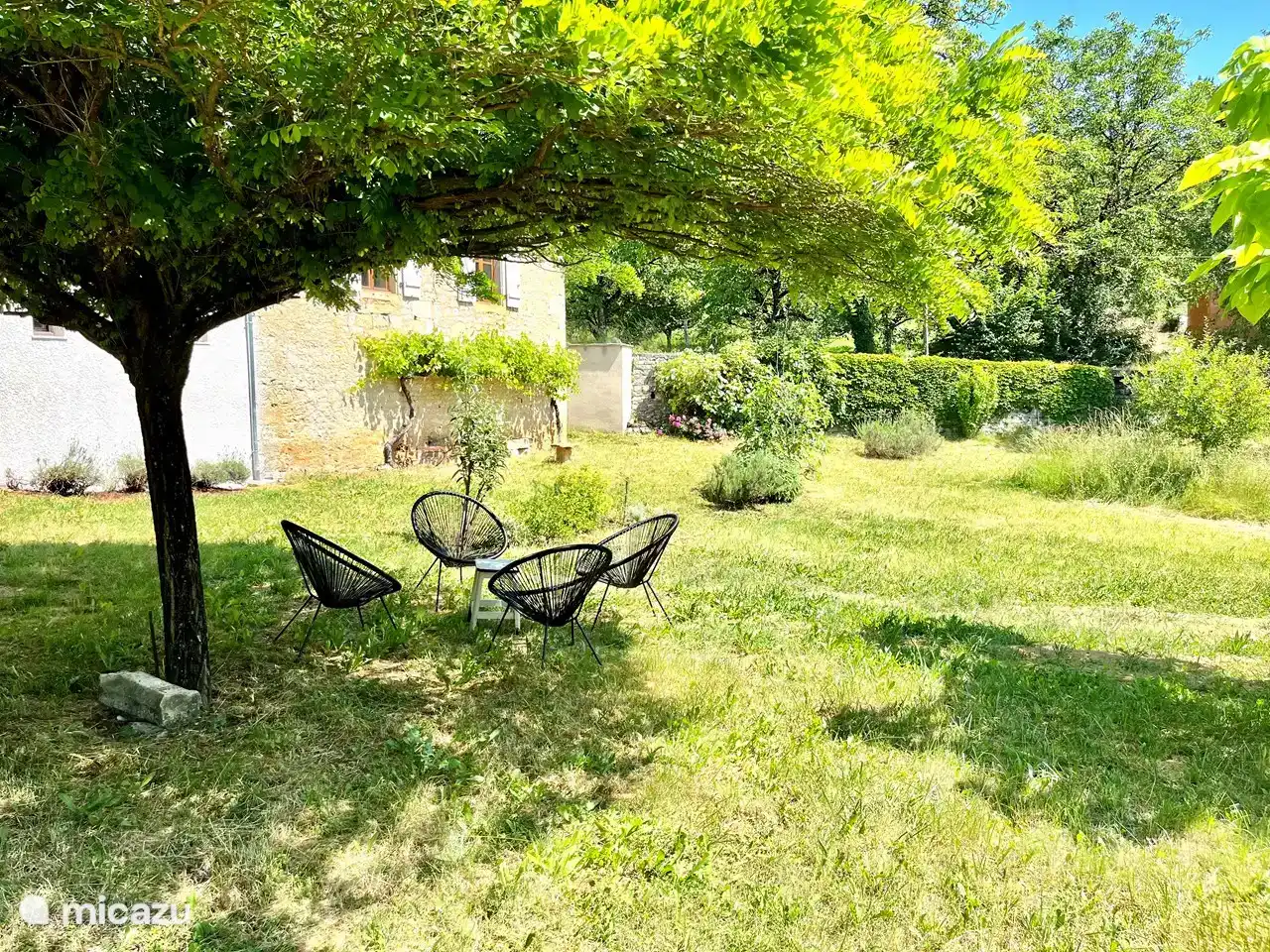 A cozy seat under the acacia in the garden.