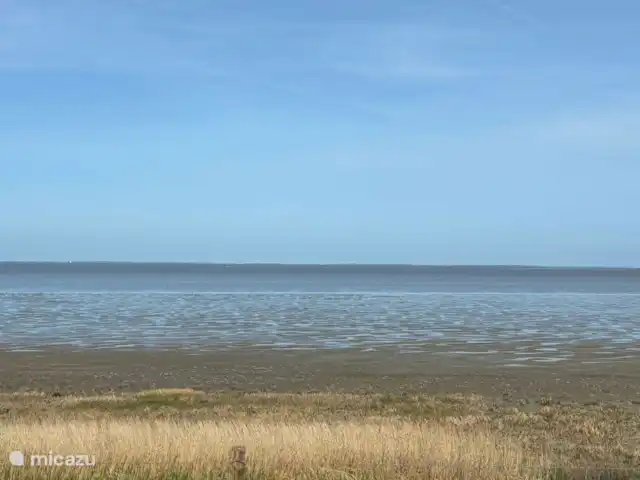 Vivienda unifamiliar y acogedora en Países Bajos, Frise, Tzummarum - casa vacacional