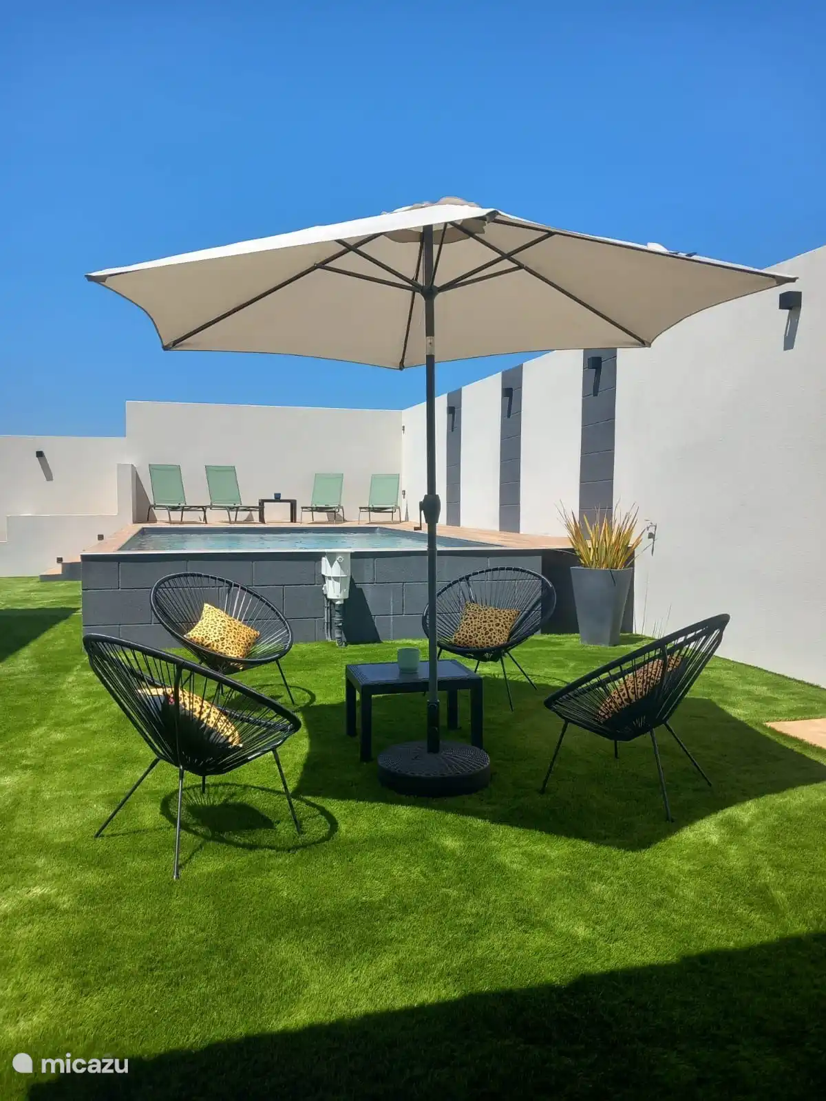 Terrace and swimming pool