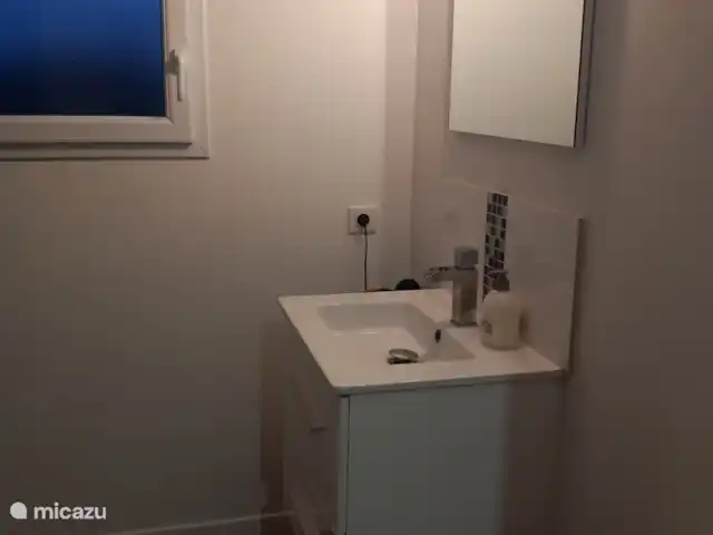 La Petite Médina | France, Lot-et-Garonne, Saint-Martin-Petit - maison de vacances Salle de Bains