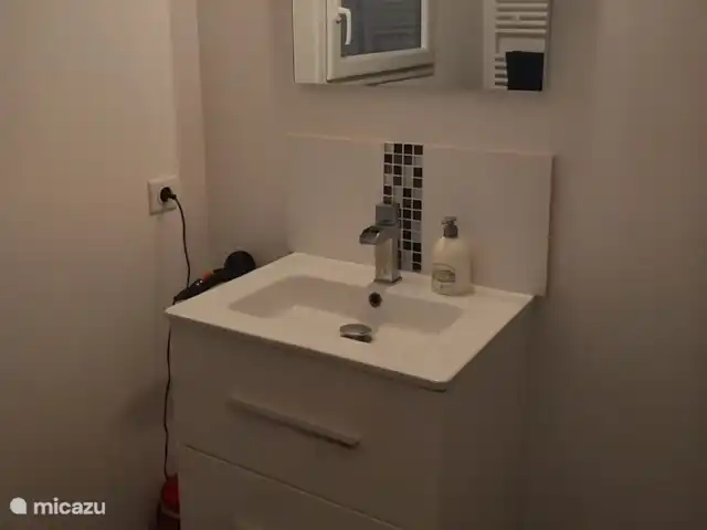 La Petite Médina | France, Lot-et-Garonne, Saint-Martin-Petit - maison de vacances Lavabo