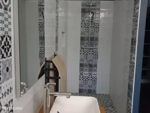 La Petite Médina | France, Lot-et-Garonne, Saint-Martin-Petit - maison de vacances Salle de Bains