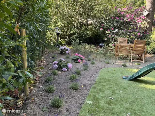 Location de Vacances Pays-Bas, Overijssel, Ommen, maison de vacances - Beerze extraordinaire Côté jardin